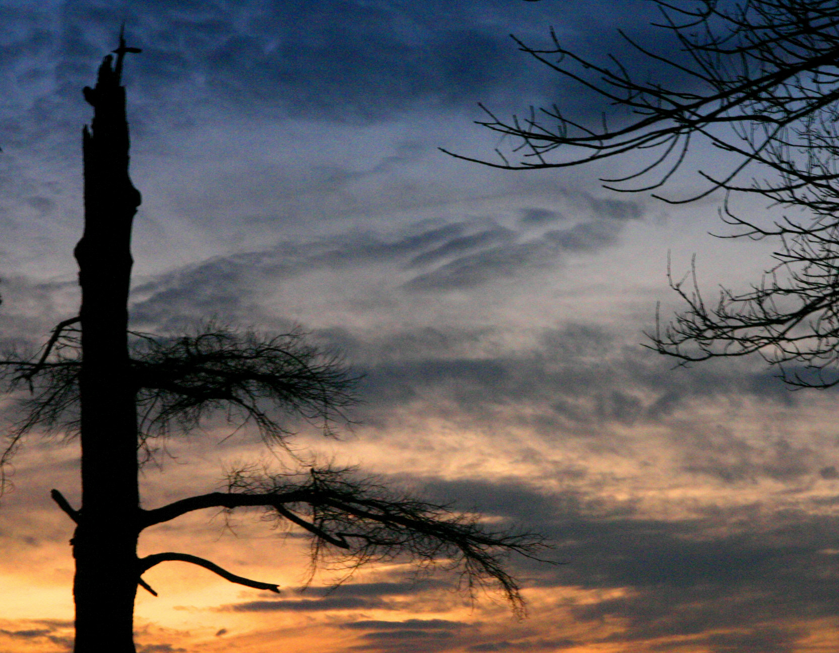 Winter Sky.