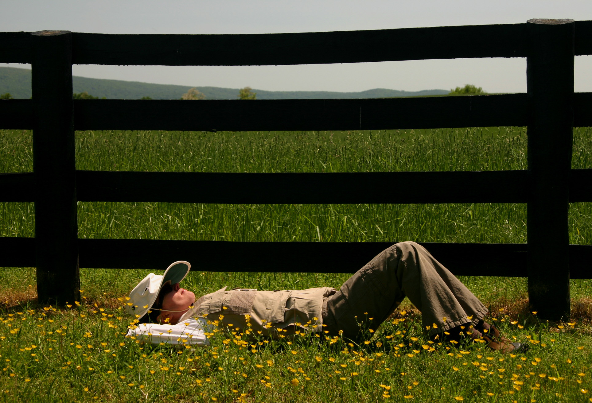 Meadow nap.