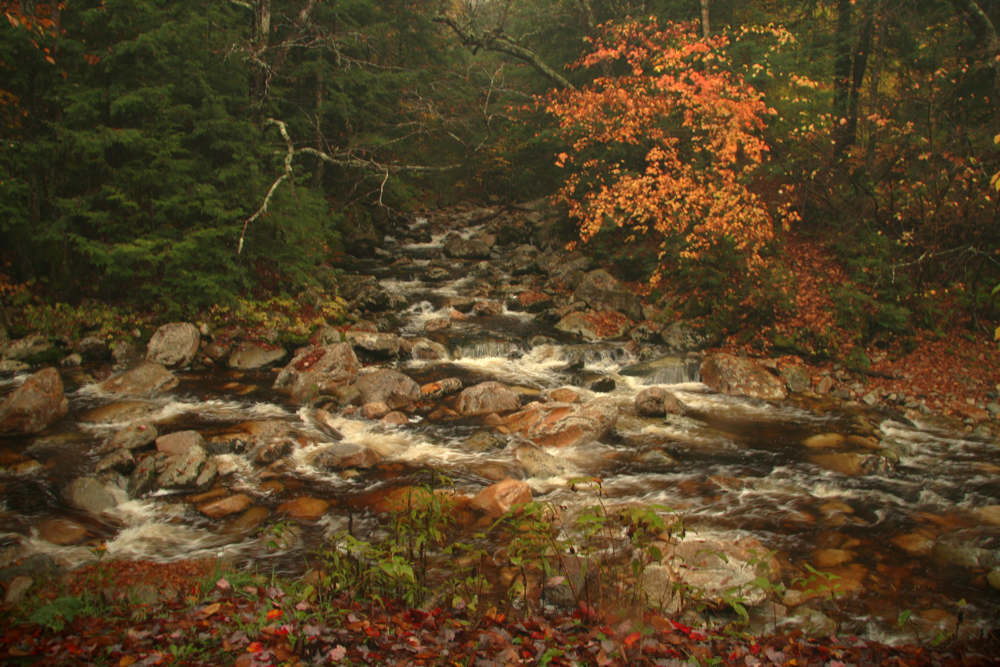 The stream at daybreak.