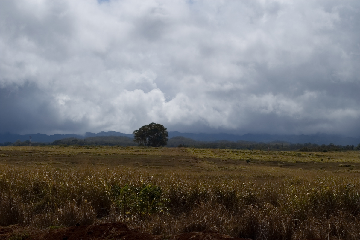 <br><br>Oahu, HI<br>On the way to the North Shore<br><br>