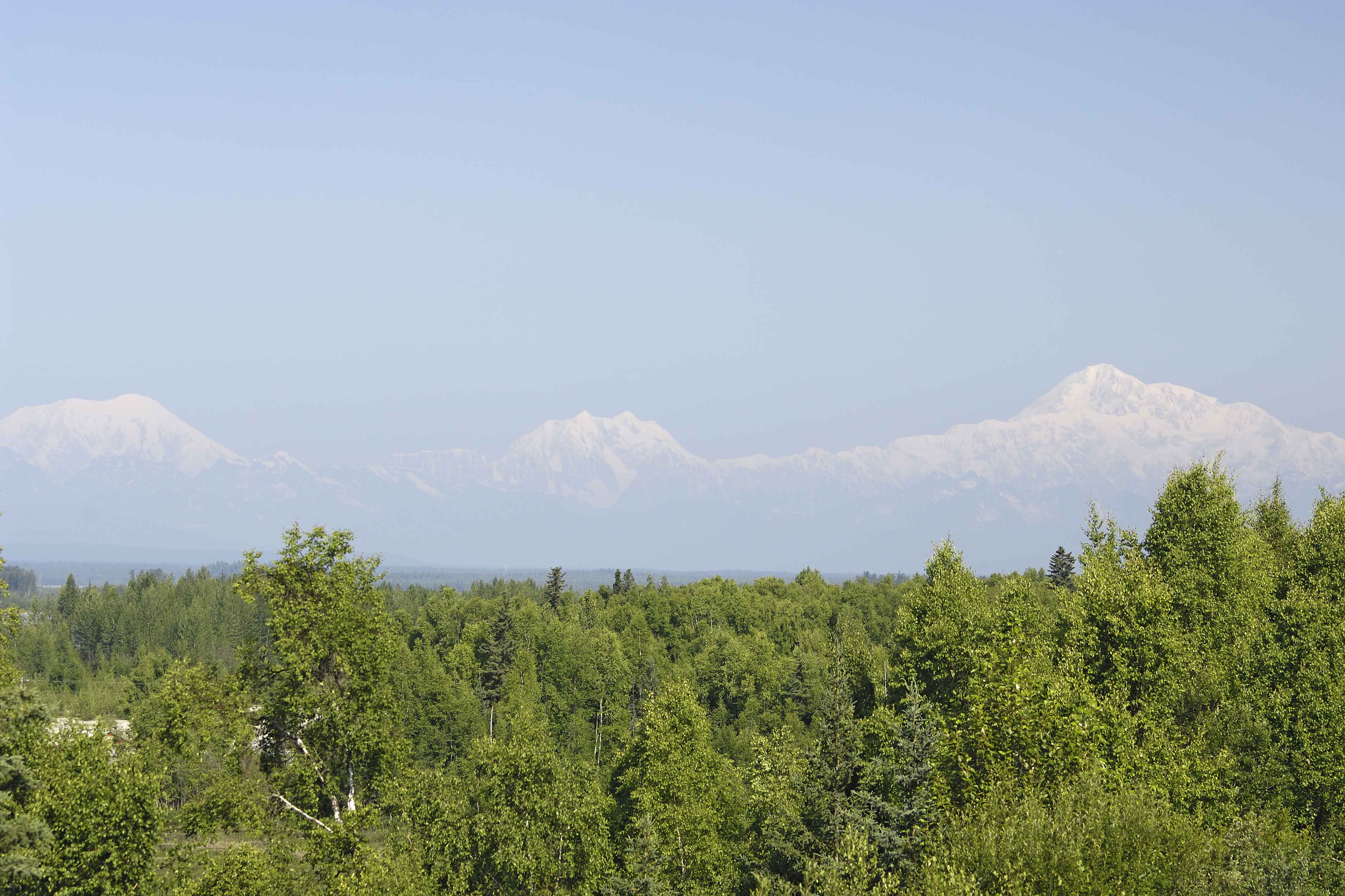 Mt Foraker-17,400, Mt Hunter-14,573, Mt McKinley-20,320-070309-Talkeetna, AK-#0509.jpg