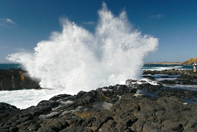 Phillip Island