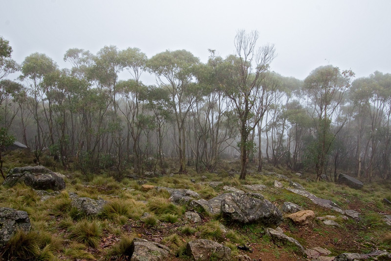 Mt. Macedon
