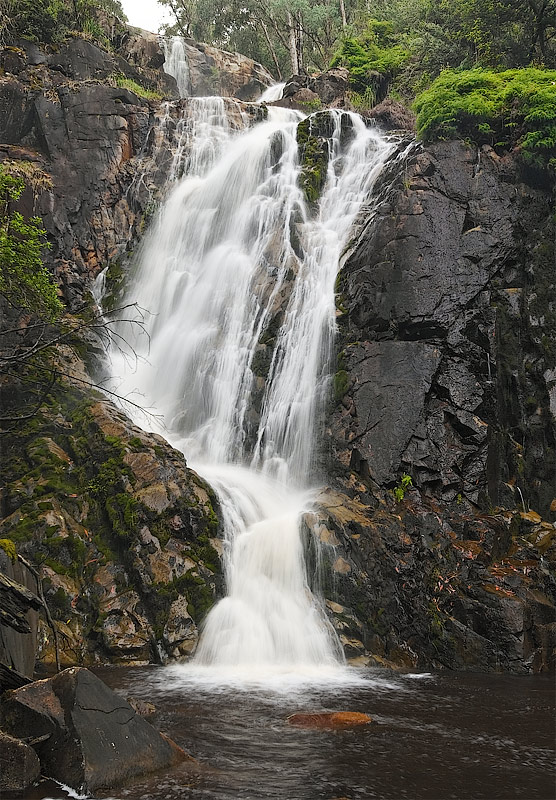 Steavenson Falls