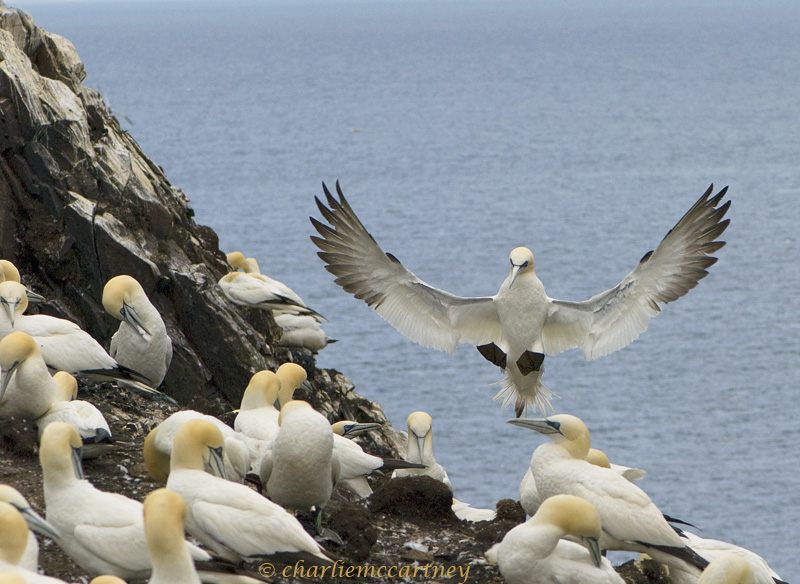 Touchdown_DSC_9524.jpg