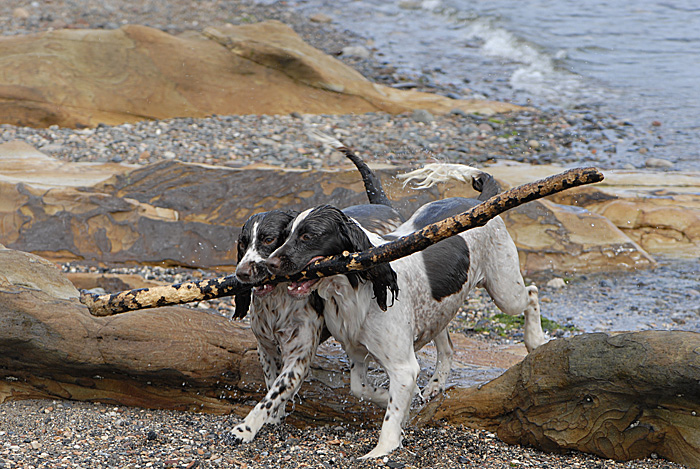 The Spoils_DSC7154.jpg
