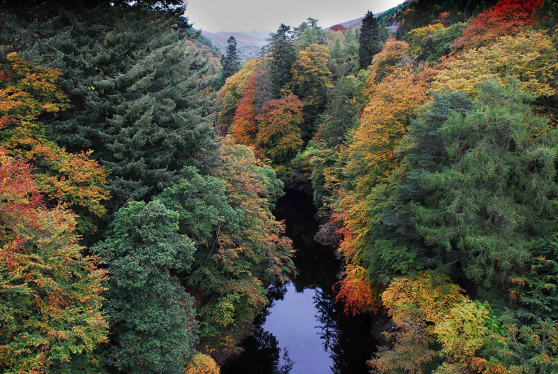 Pass of Killiecrankie_ DSC_2186_1.jpg