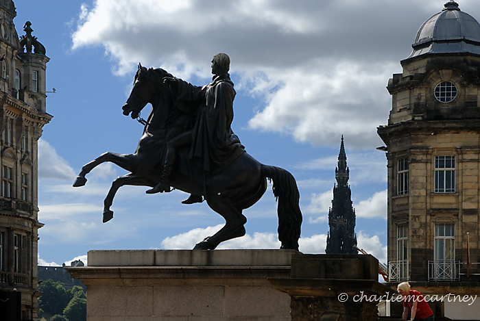 Duke of Wellington DSC0279