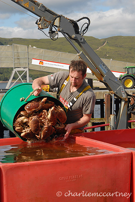 Offloading Crabs_DSC_2534