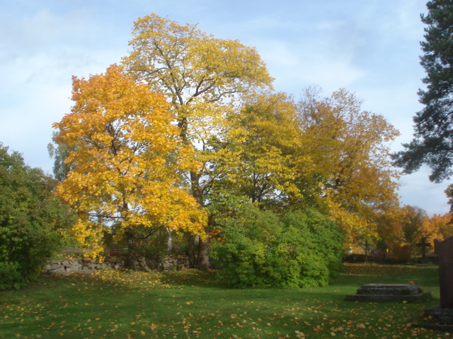 20080926