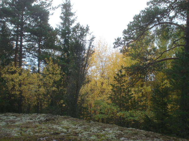 20080927