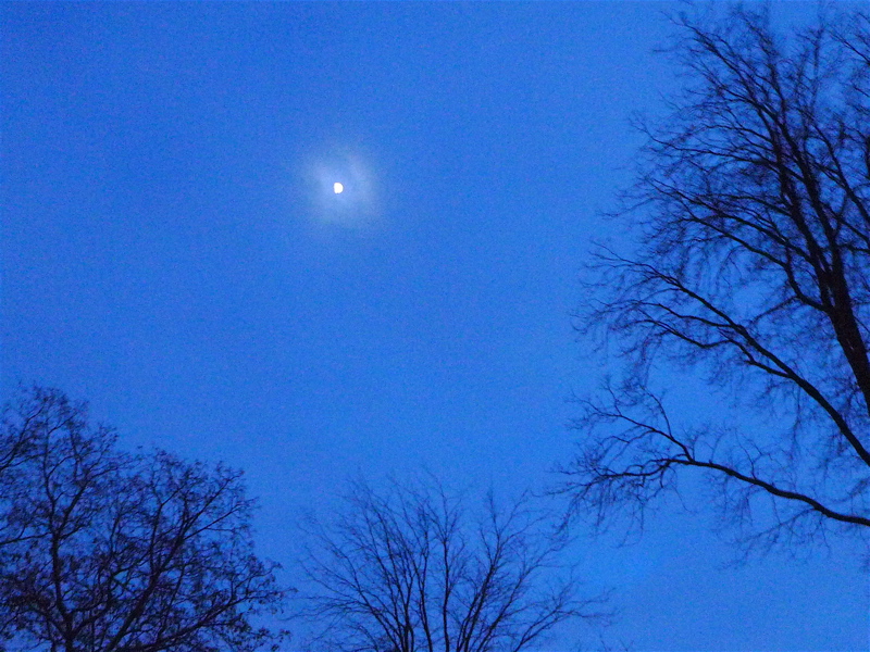 20110114