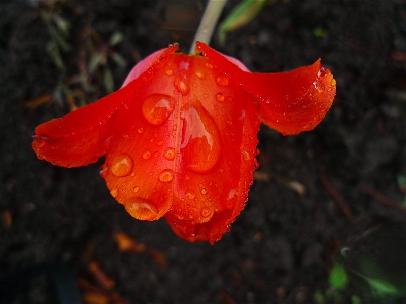 20110514
