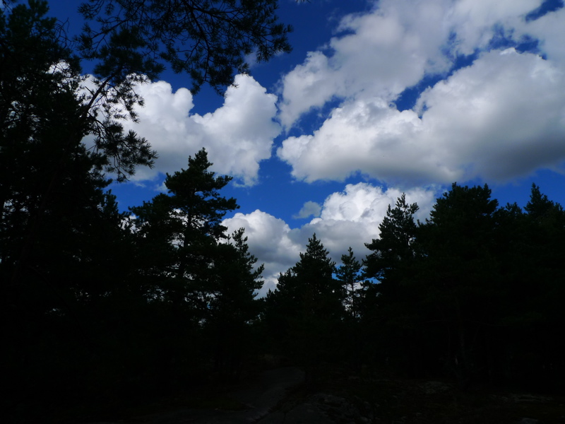20110812