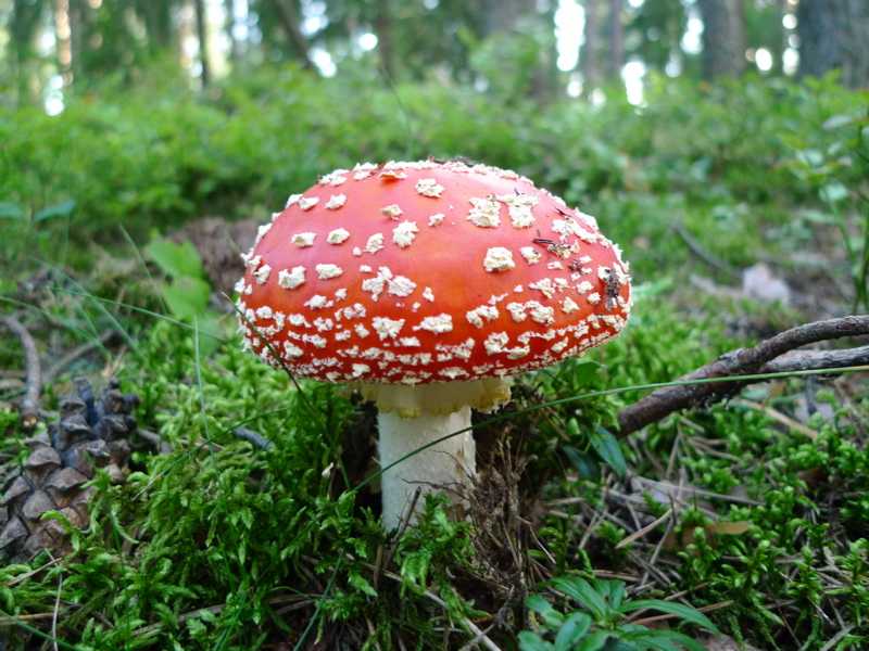 20110823