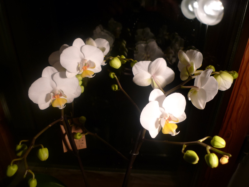 20111207