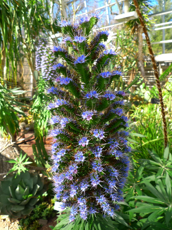 20130421