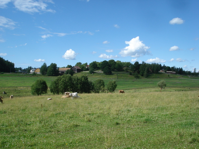 DSC04618.JPG
