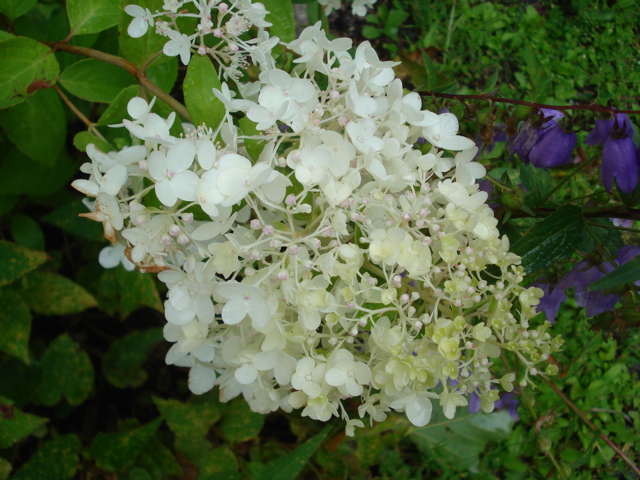 20070724