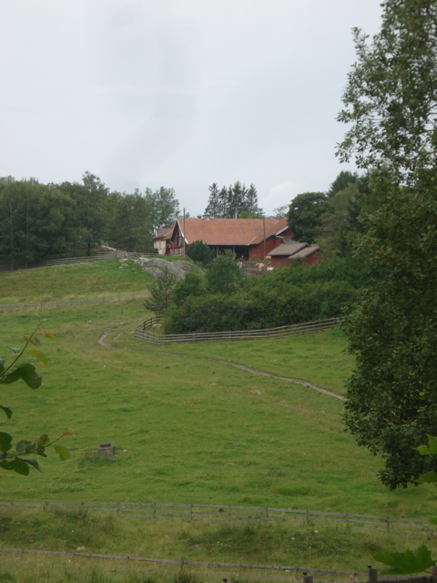 DSC04782.JPG