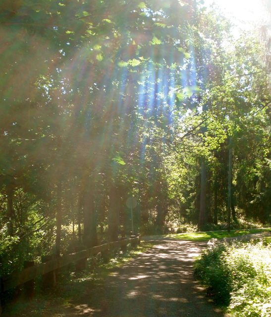 20070819