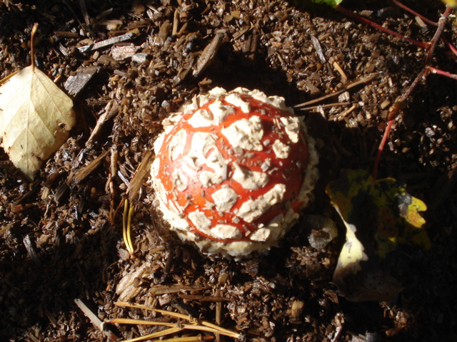 20070915