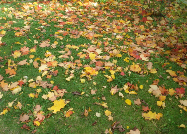 20070922