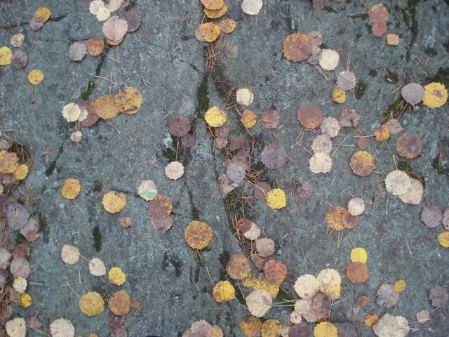 20071007