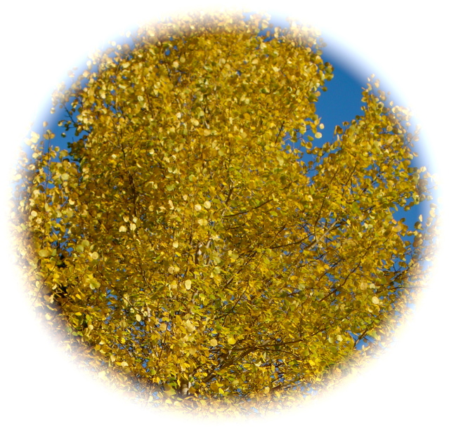 20071013