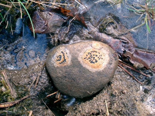 20080222