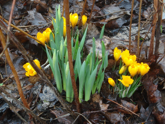 20080408