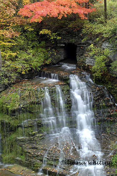 Roadside Waterfall Ithaca