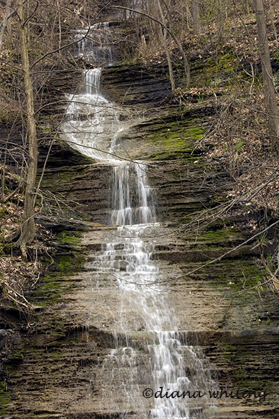 Spring Waterfall Fingerlakes