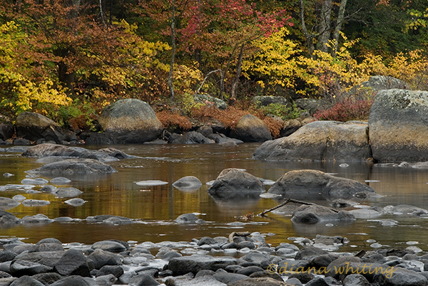 Moose River, Adirondacks