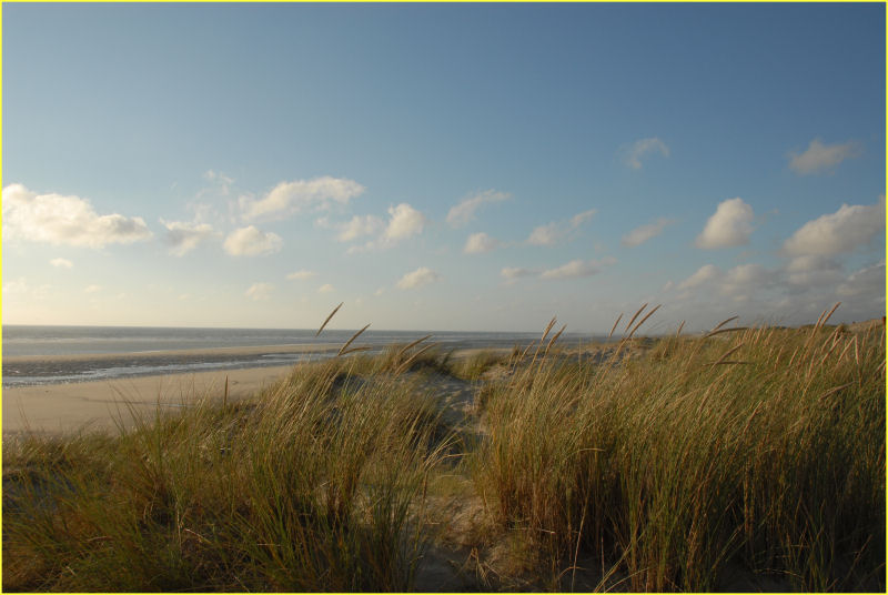 Paysage Mer07_069.JPG