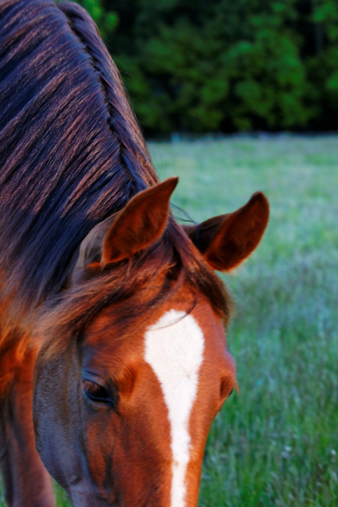 A Dixie morning...beauty everywhere!