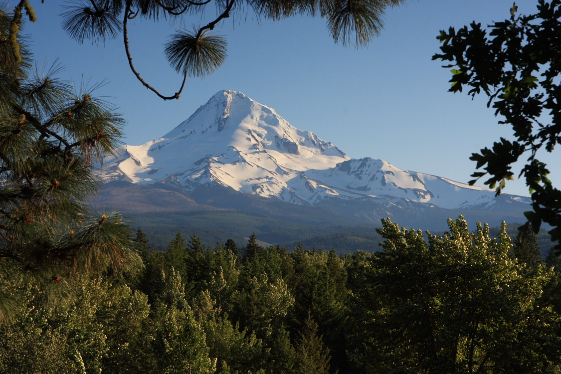 Mt Hood from Hywy 35 northeast of the mountain 