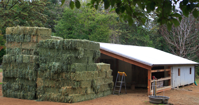 OK kids stuff that big pile in that little barn.JPG