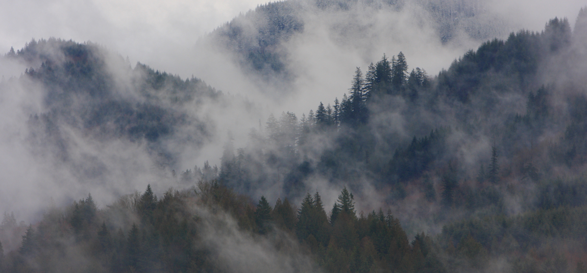 New clouds rising .JPG