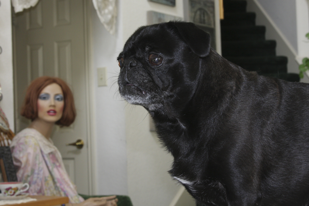 Hello...  Id like you to meet my friend Lucy.