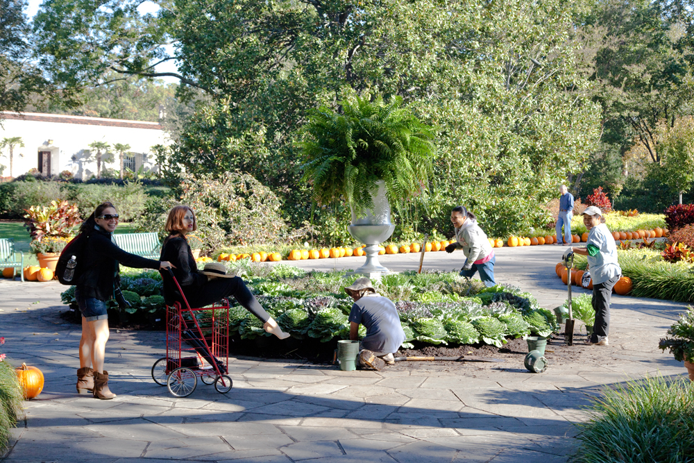 Working to make the garden beautiful...