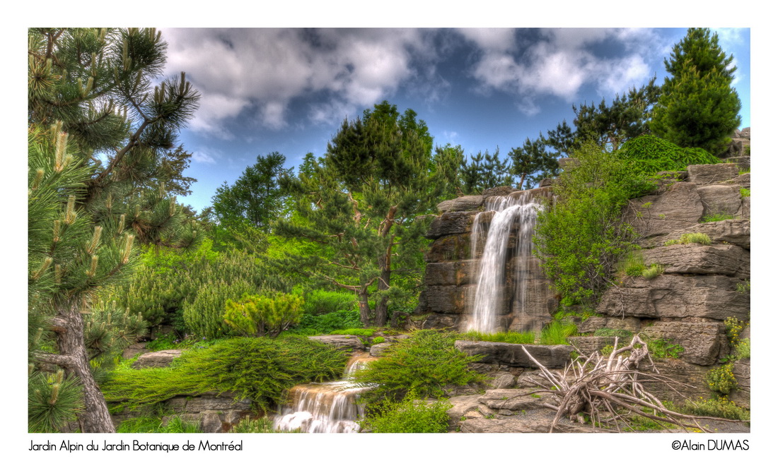 Jardin Alpin - Alpine Garden