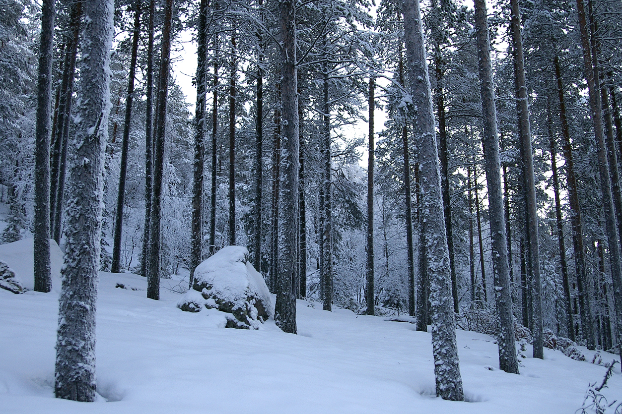 Finland. Levi