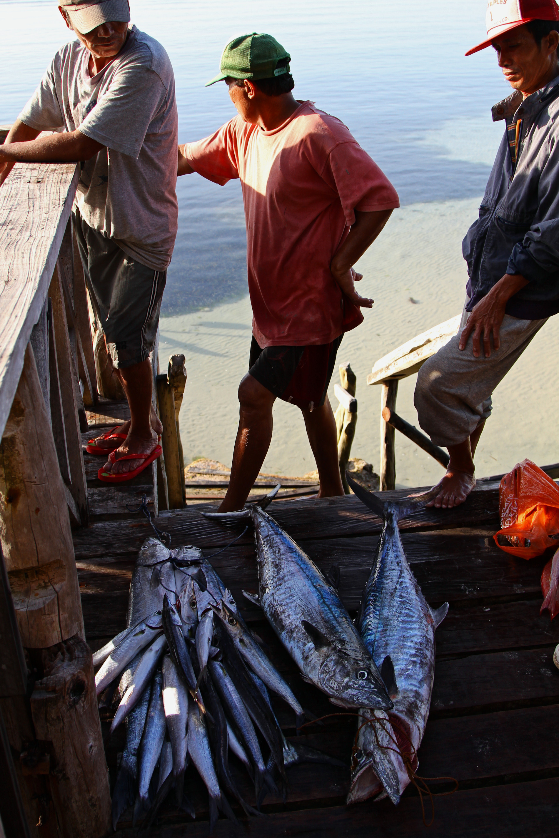 50 US Cents per Kilo Fresh from the Sea.jpg