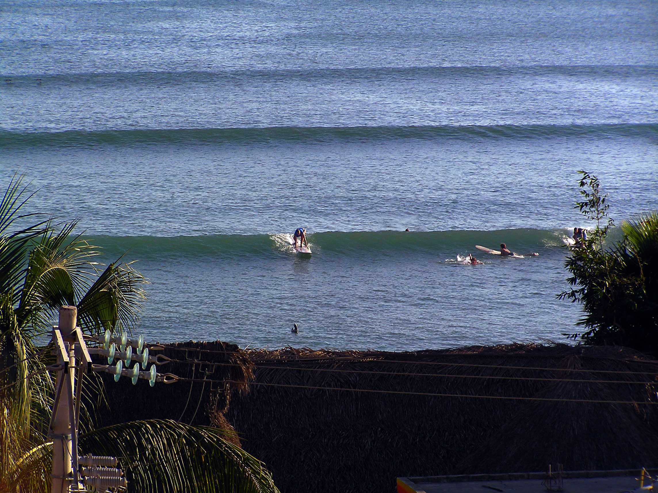 A Surfers Paradise