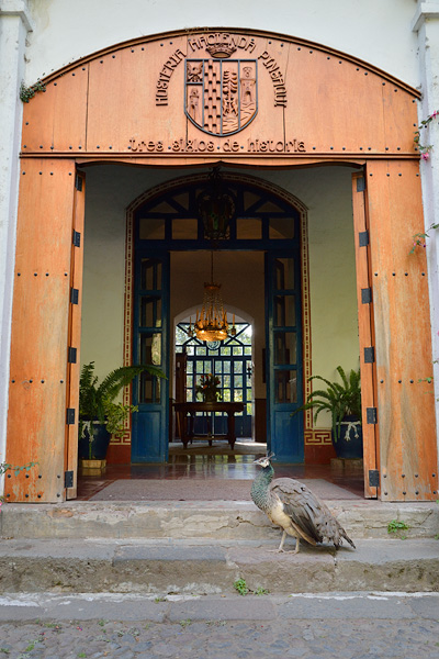 ABD Ecuador and Galapagos [Web Files] - 157.JPG