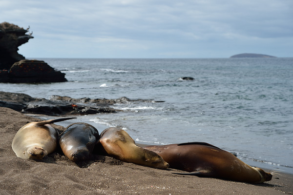 ABD Ecuador and Galapagos [Web Files] - 226.JPG