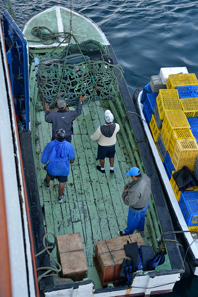 ABD Ecuador and Galapagos [Web Files] - 354.JPG