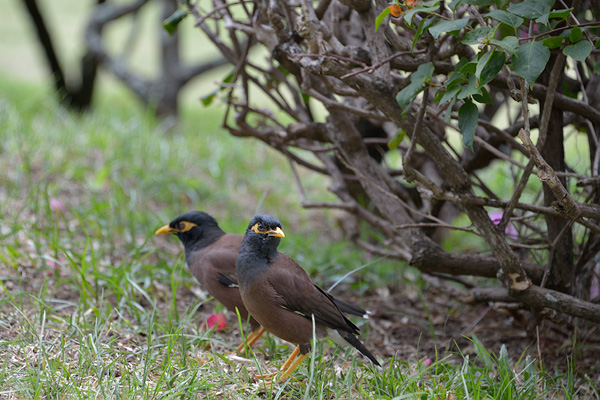 20121005 - Tahiti - 0184.jpg