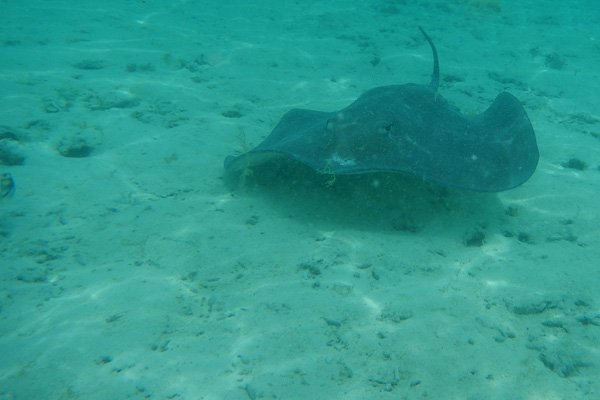 20121009 - Bora Bora (AW) - 0075.jpg